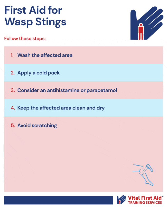 A graphic describing steps for first aid for wasp stings