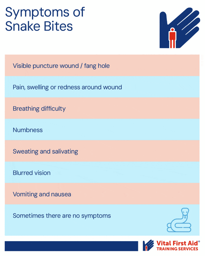 list of snake bite symptoms