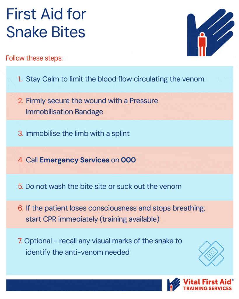 list of first aid steps for snake bites